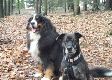 Alois und Compi in der Trailpause